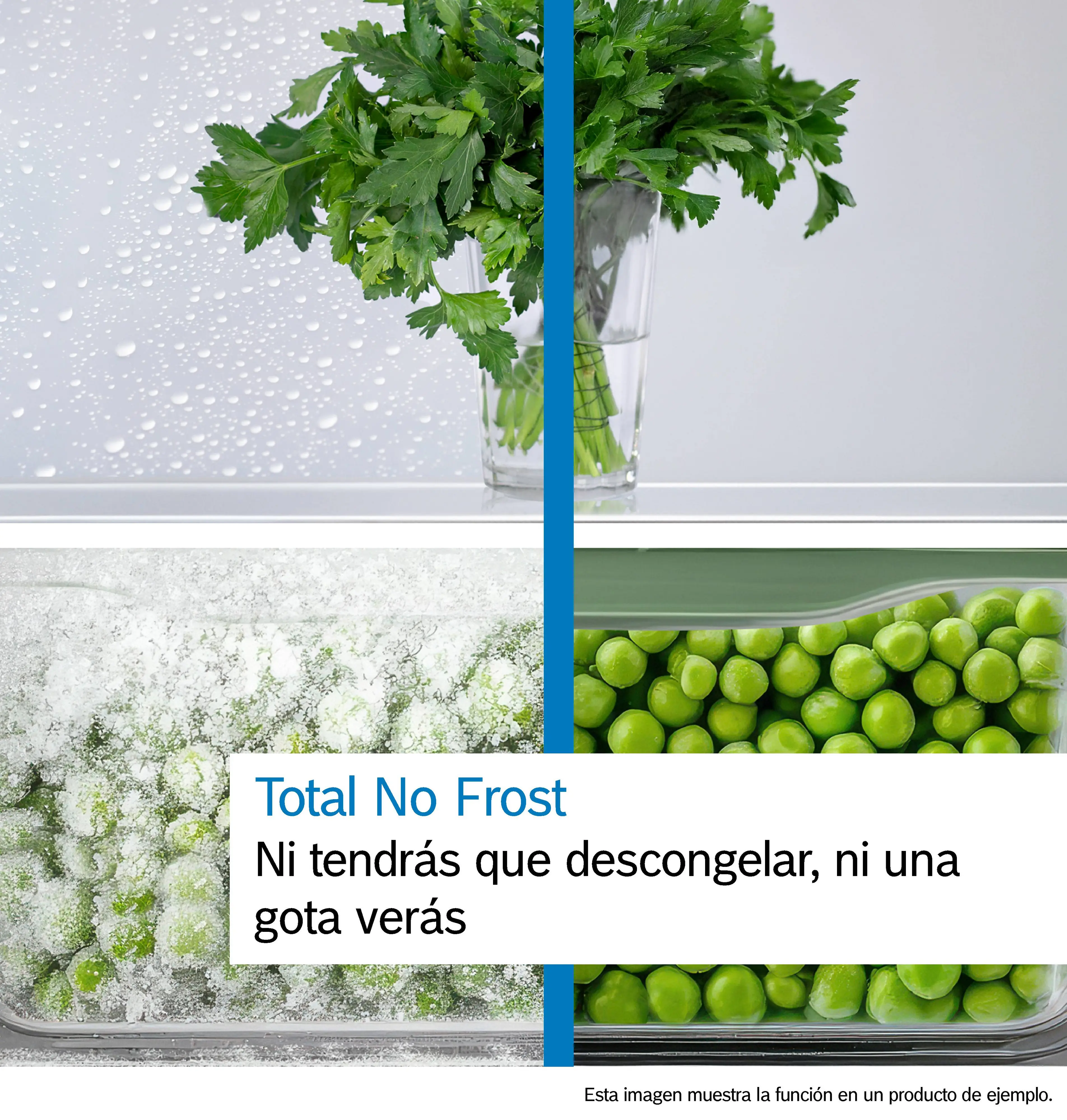 Imagen muestra interior de nevera. Parte superior con perejil en agua, parte inferior con guisantes congelados y frescos, texto a la izquierda.