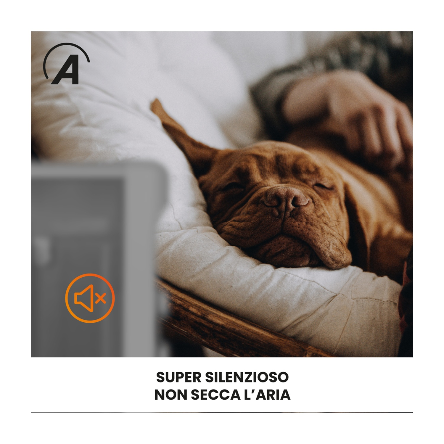 Un cane marrone che dorme su un cuscino bianco, con la mano di una persona vicina. Appare un simbolo di disattivazione arancione.
