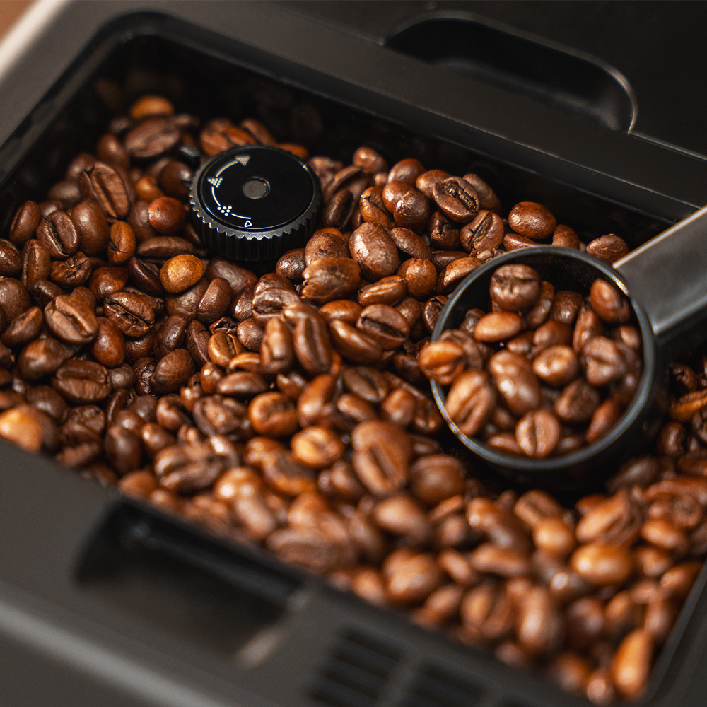 Primer plano de granos de café en un molinillo. Una cuchara negra sostiene granos. Dial negro en la parte superior. Granos marrones oscuros llenan el recipiente.