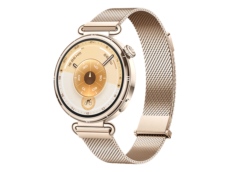 HUAWEI WATCH GT 6 (41 mm) Smartwatch Vorderes Gehäuse: Edelstahl, Hintere Abdeckung: Kunststoff Edelstah, 130-190 mm, Gold