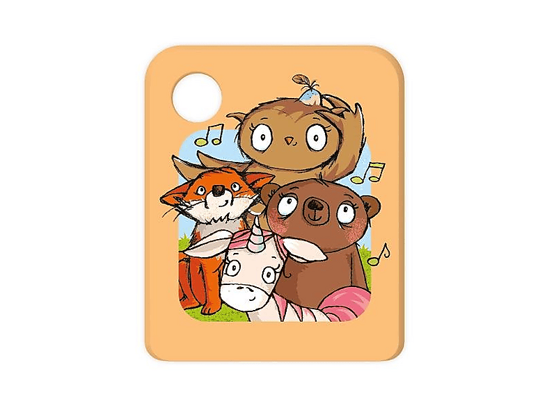 Kleine Eule - Die Eule mit der Beule und ihre Freunde - (Sonstiges)