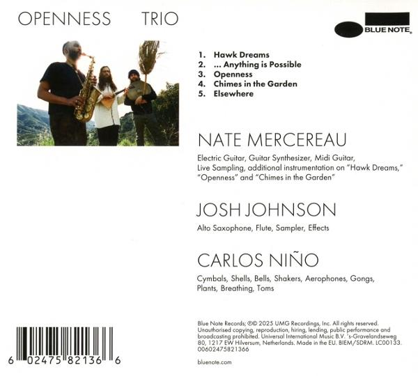 Albumcover von 'Openness Trio'. Drei Musiker mit Instrumenten spielen in einer Landschaft.