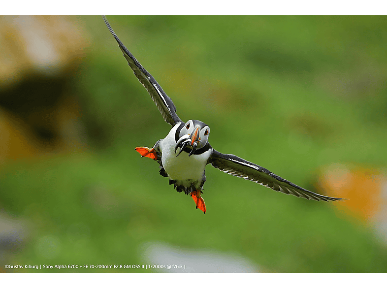 SONY Alpha 6700 Kit Systemkamera mit Objektiv 16-50 mm, 7,5 cm Display Touchscreen, WLAN