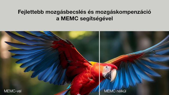 Egy osztott kép egy kék és piros szárnyú makót mutat. A bal oldalon a 'MEMC-vel', a jobbon a 'MEMC nélkül' felirat látható.