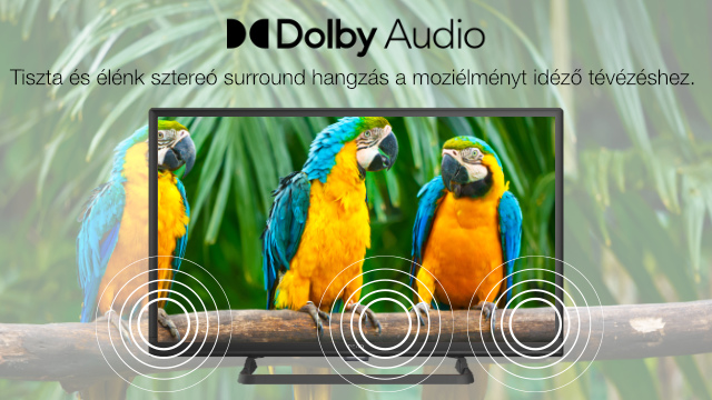 Tévéképernyő papagájokkal. Dolby Audio logó felül. Hanghullámok a tévéből. Zöld lombozat a háttérben.
