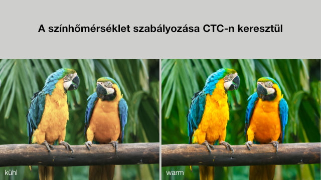 Két pár kék-sárga ara egy ágon, felül szöveggel, alul 'kuhl' és 'warm', a hőmérséklet szabályozását jelezve.