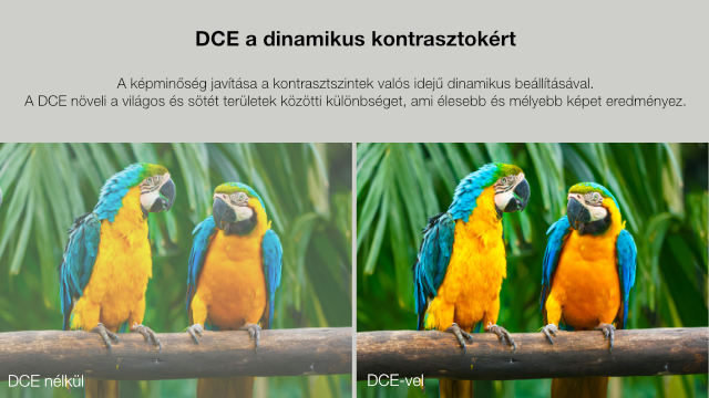 A képen két papagáj látható. A szöveg szerint 'DCE a dinamikus kontraszthoz'. Az egyik kép 'DCE nélkül', a másik 'DCE-vel', kontrasztot mutat.