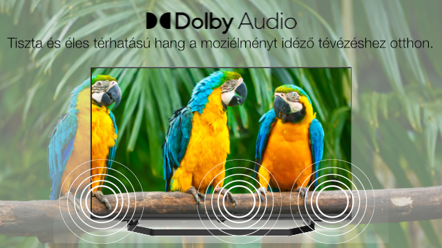 Tévéképernyő papagájokkal. Dolby Audio logó a tetején. Hanghullámok a TV aljáról sugároznak.