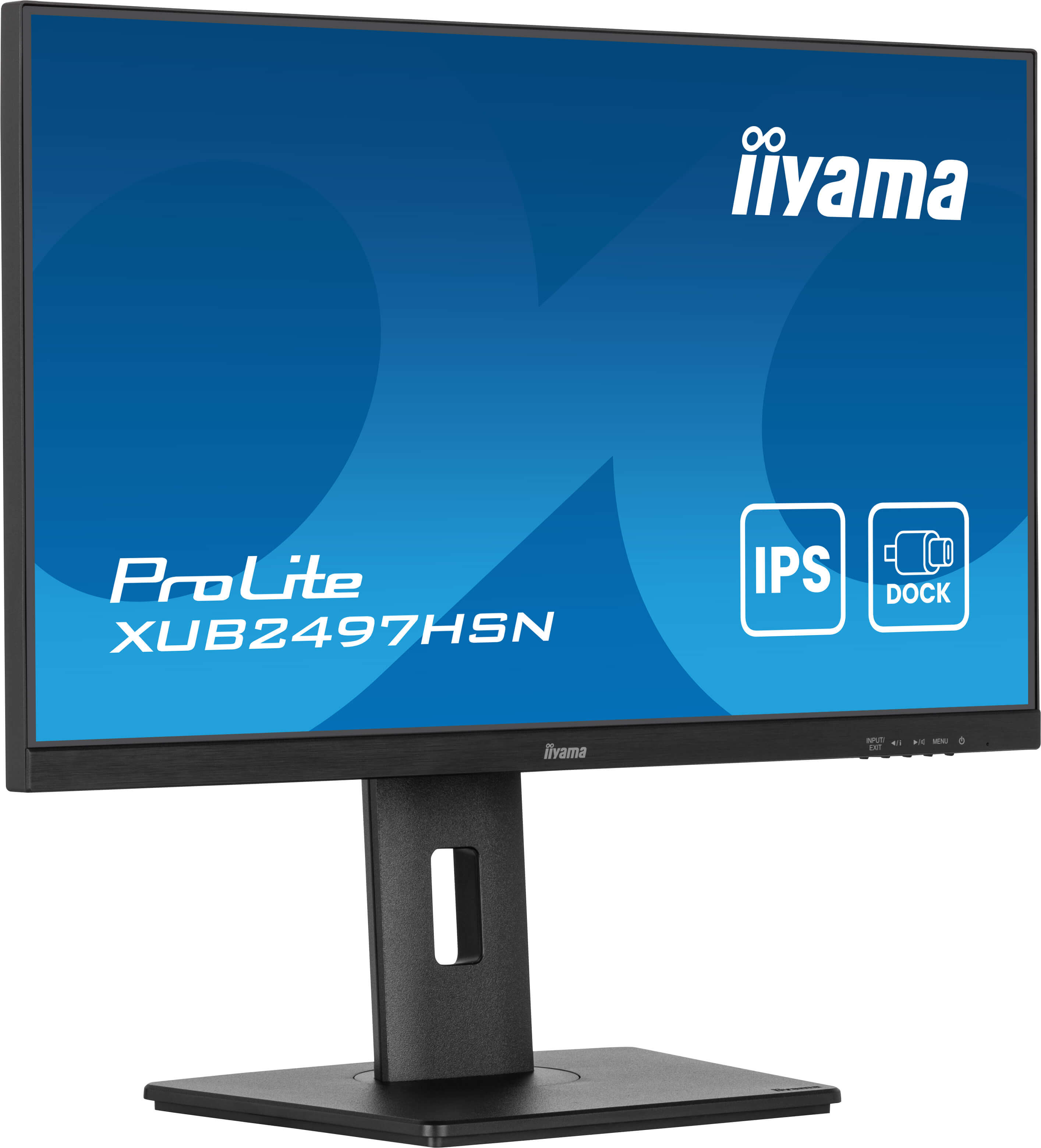 Monitor Iiyama ProLite z czarną ramką, niebieskim ekranem i białym tekstem. Podstawa jest czarna.