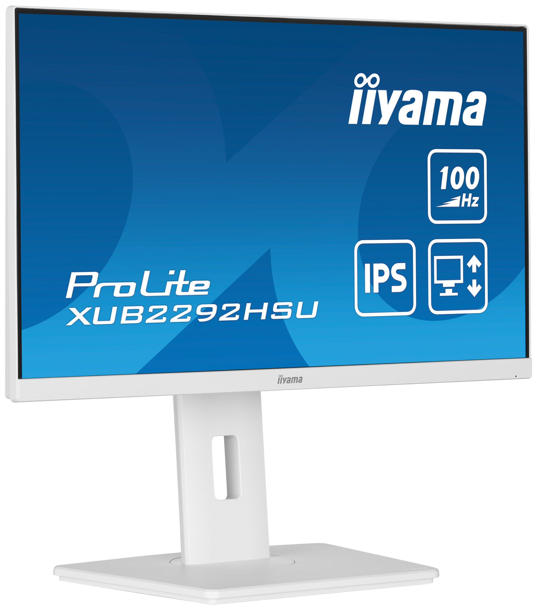 Weißer Iiyama ProLite-Monitor. Blauer Bildschirm mit weißem Text und Symbolen. Ständer ist weiß.