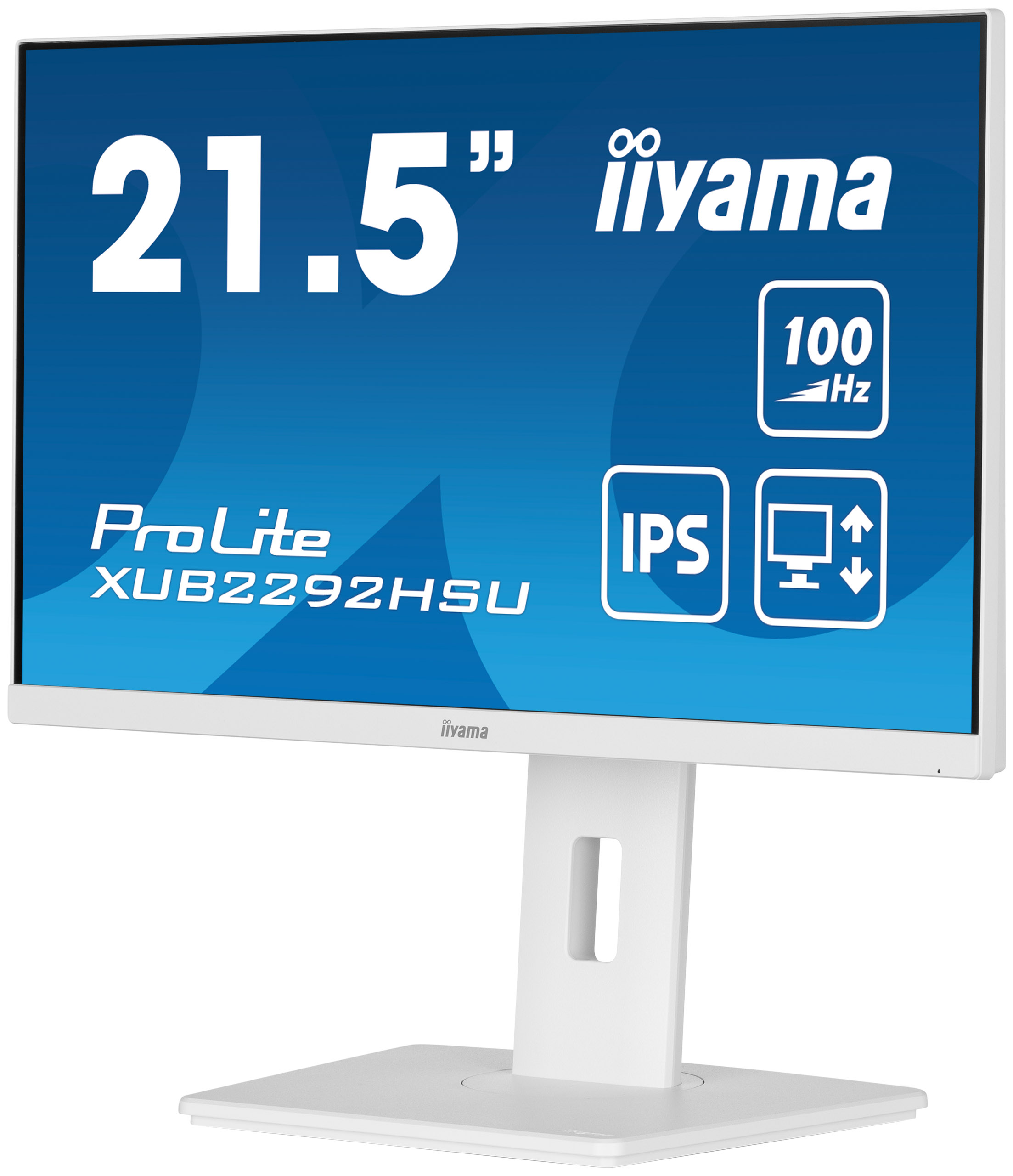 Ein weißer Iiyama-Monitor mit blauem Bildschirm zeigt Produktinformationen, Modell und Funktionen.
