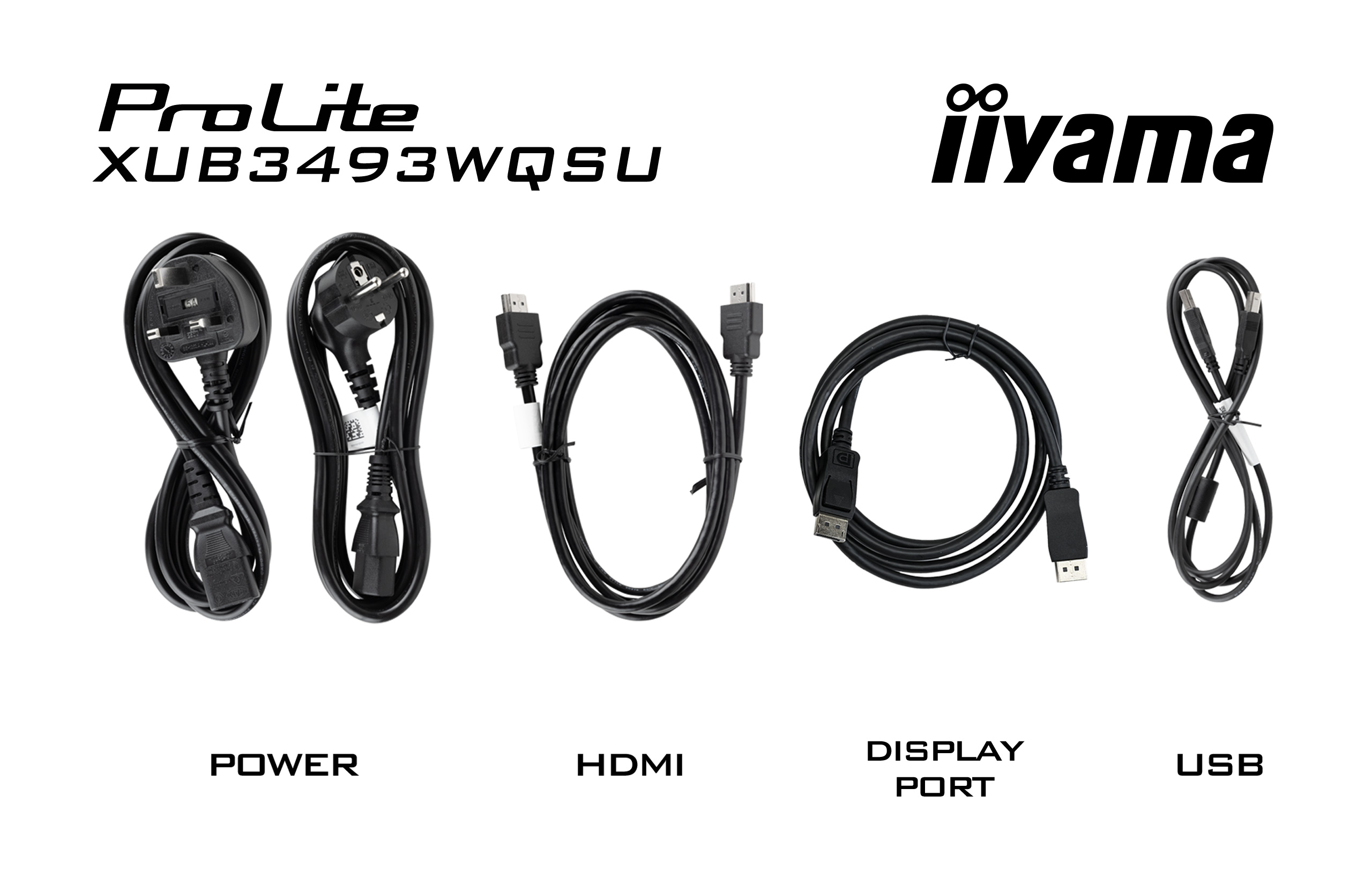 Das Bild zeigt Strom-, HDMI-, DisplayPort- und USB-Kabel. Die Markennamen ProLite, iiyama sind sichtbar.