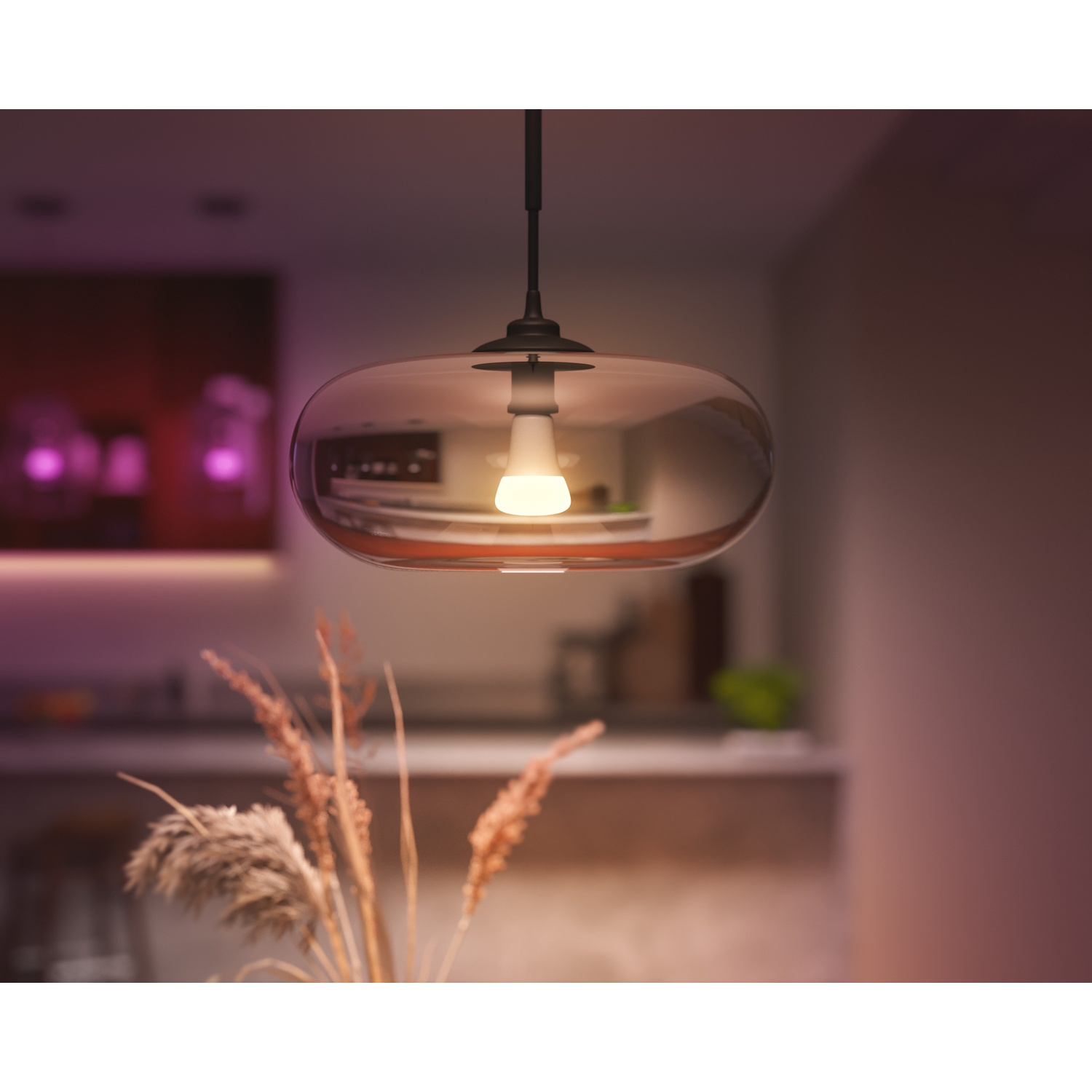 Una lampada a sospensione con una lampadina accesa pende dal soffitto. Il paralume in vetro riflette una cucina. Piante secche in primo piano.