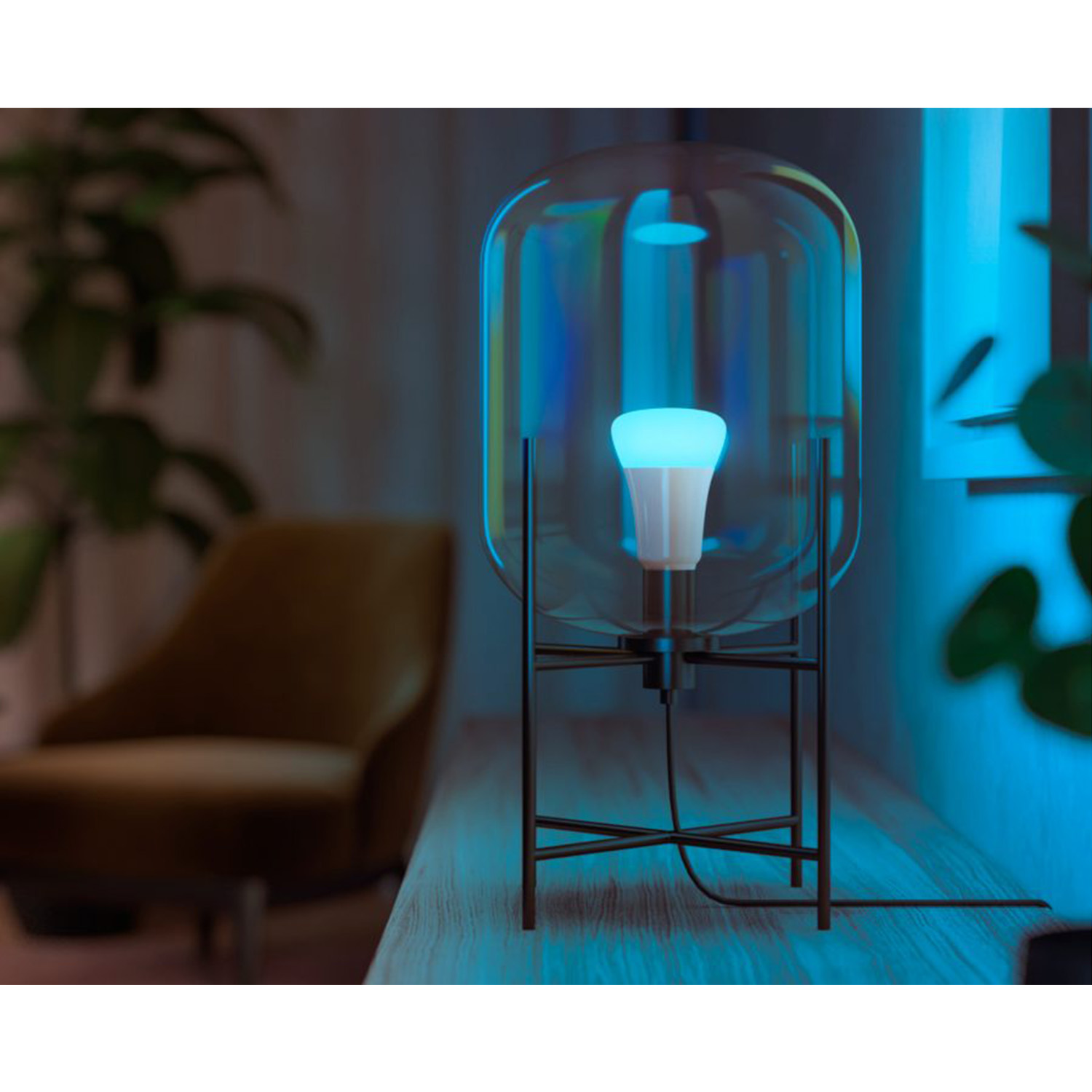 Una lampada con una lampadina blu brillante all'interno di un involucro di vetro. È su una superficie di legno, con una sedia e delle piante sullo sfondo.