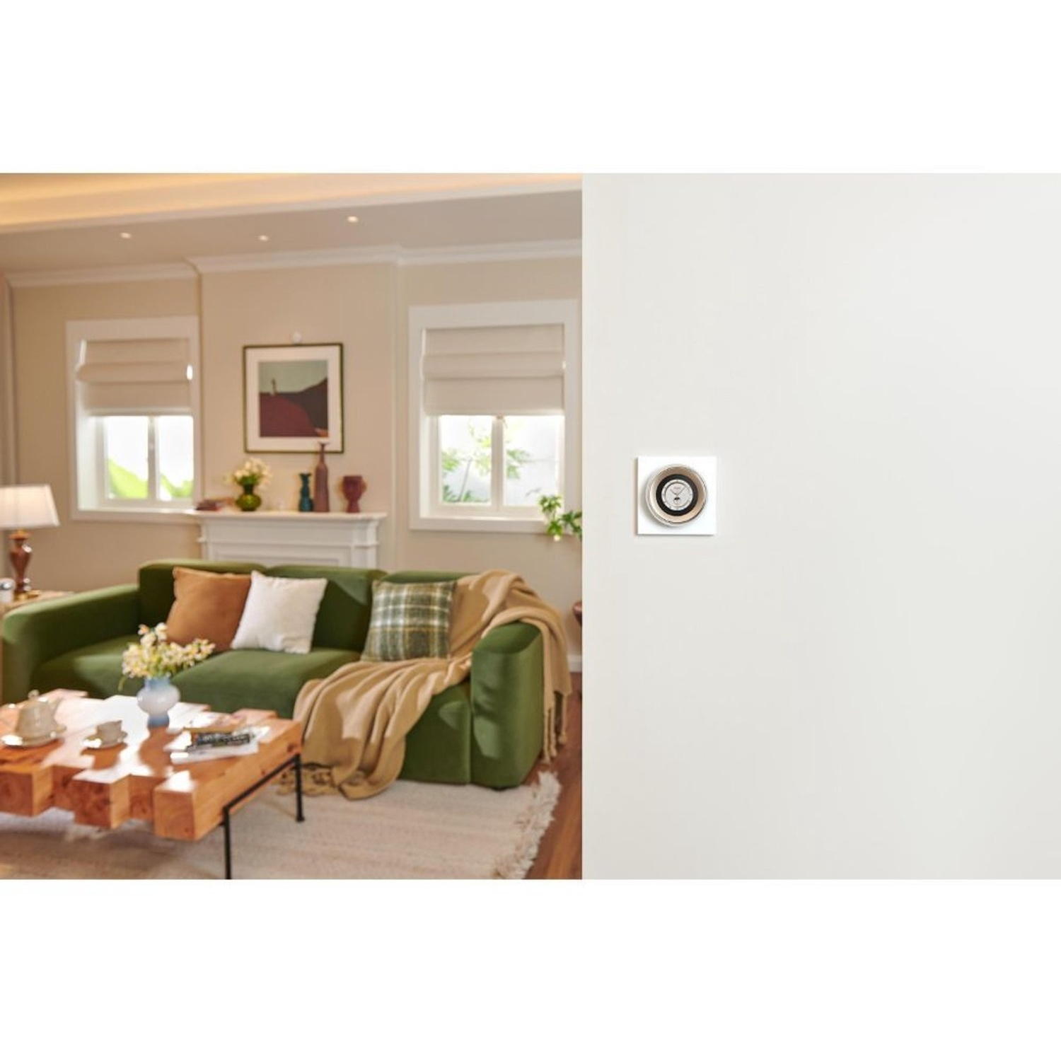 A living room with a green sofa, wooden coffee table, and a white wall with a switch. Windows are visible.
