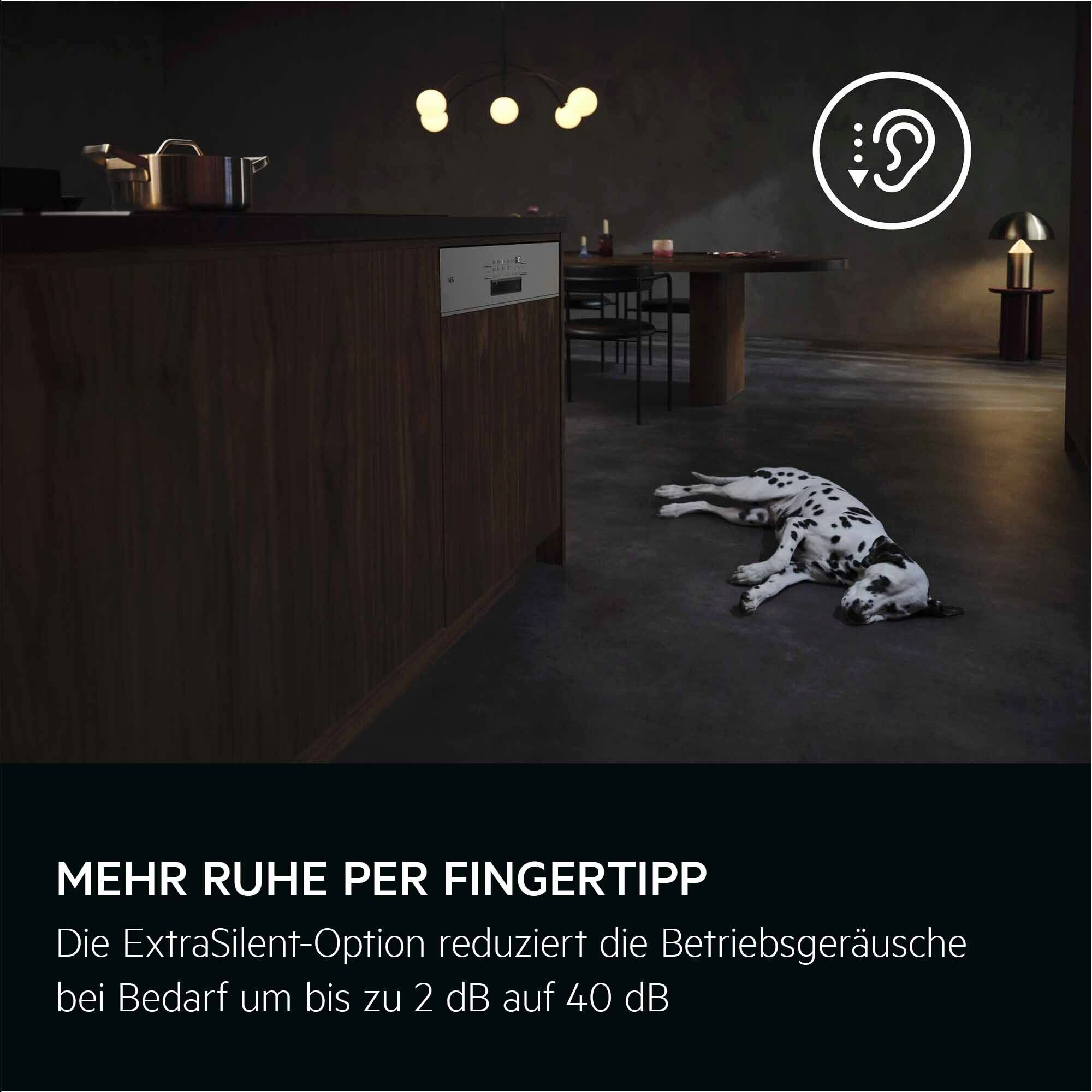 Ein Dalmatiner liegt auf dunklem Boden. Küche mit Geschirrspüler, Tisch und Lampe. Der Text lautet 'Mehr Ruhe'.