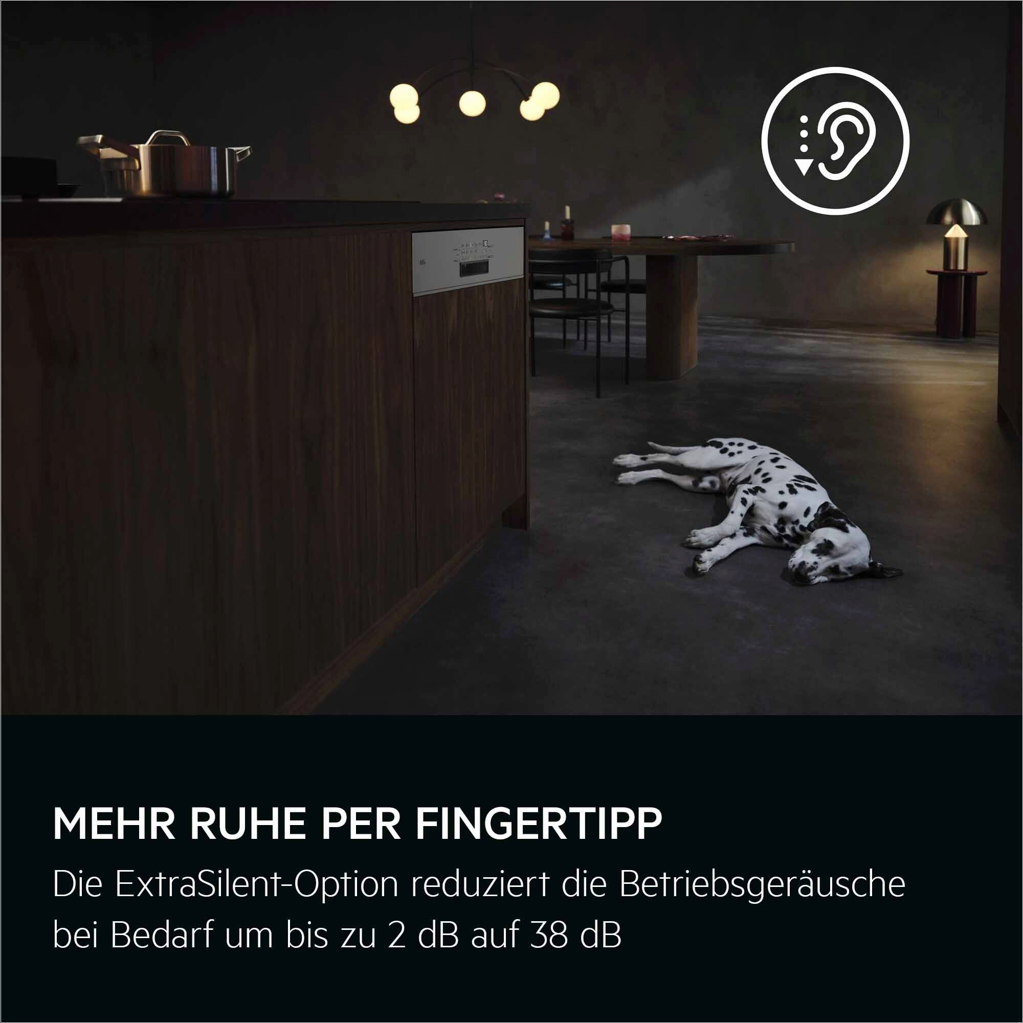 Ein Dalmatiner liegt auf dunklem Boden in einer modernen Küche. Im Hintergrund ist ein Geschirrspüler zu sehen.