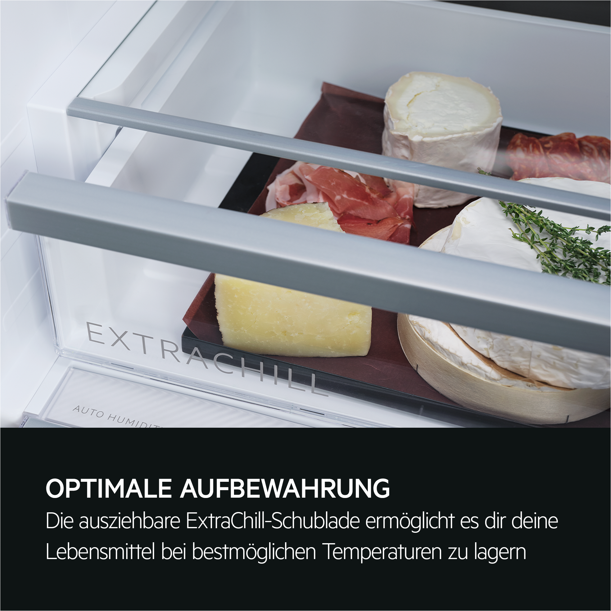 In einer Kühlschublade werden verschiedene Käsesorten und Fleischstücke ausgestellt. Die Schublade ist mit 'ExtraChill' beschriftet.