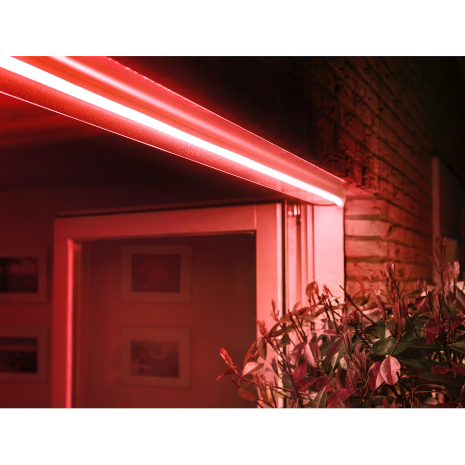 Scena illuminata di rosso. Una striscia luminosa illumina una porta. Muro di mattoni rossi e piante tinte di rosso nella scena, con foto all'interno.