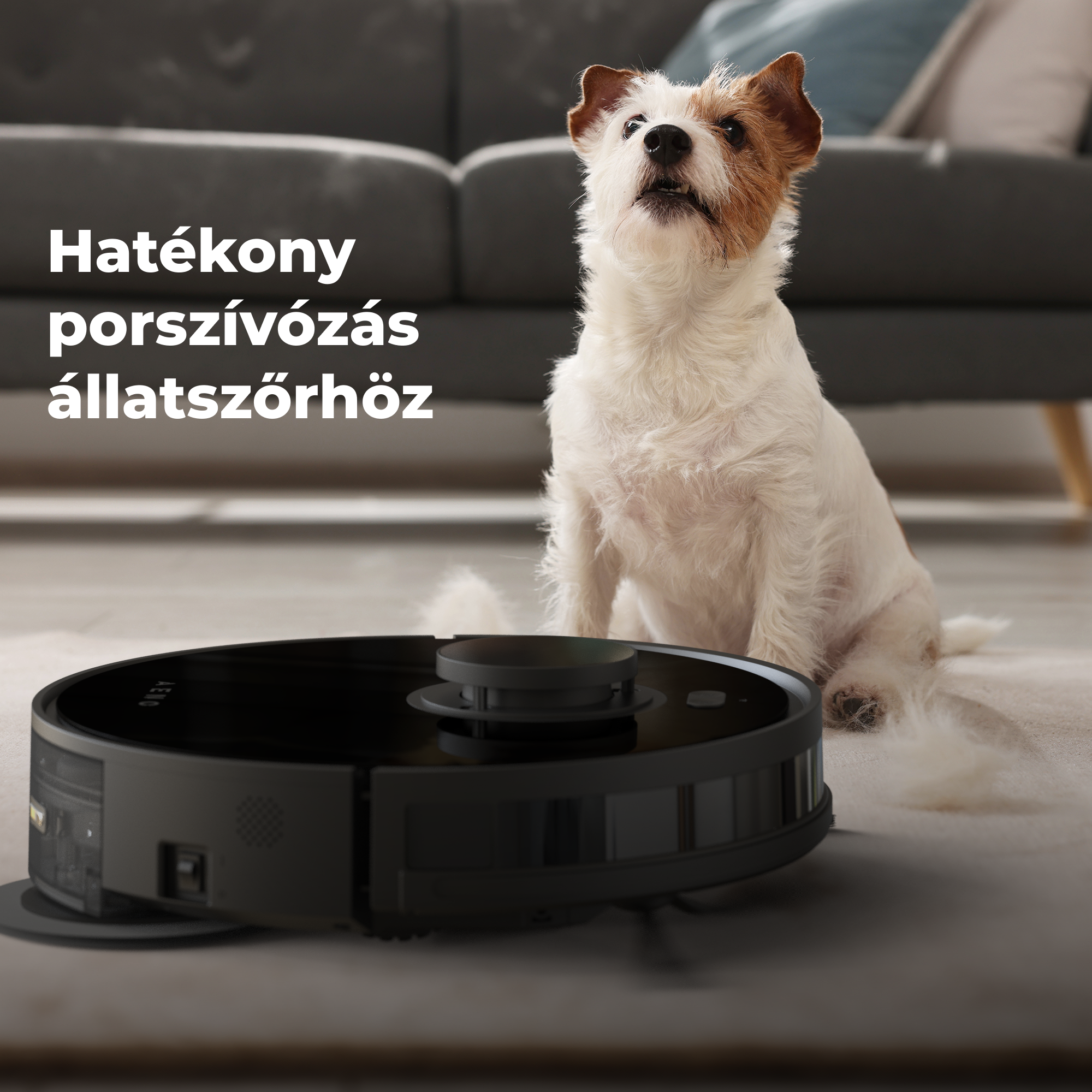 Egy kutya egy robotporszívó közelében ül, a szöveggel: Hatékony porszívózás az állatszőrhöz. A porszívó fekete.