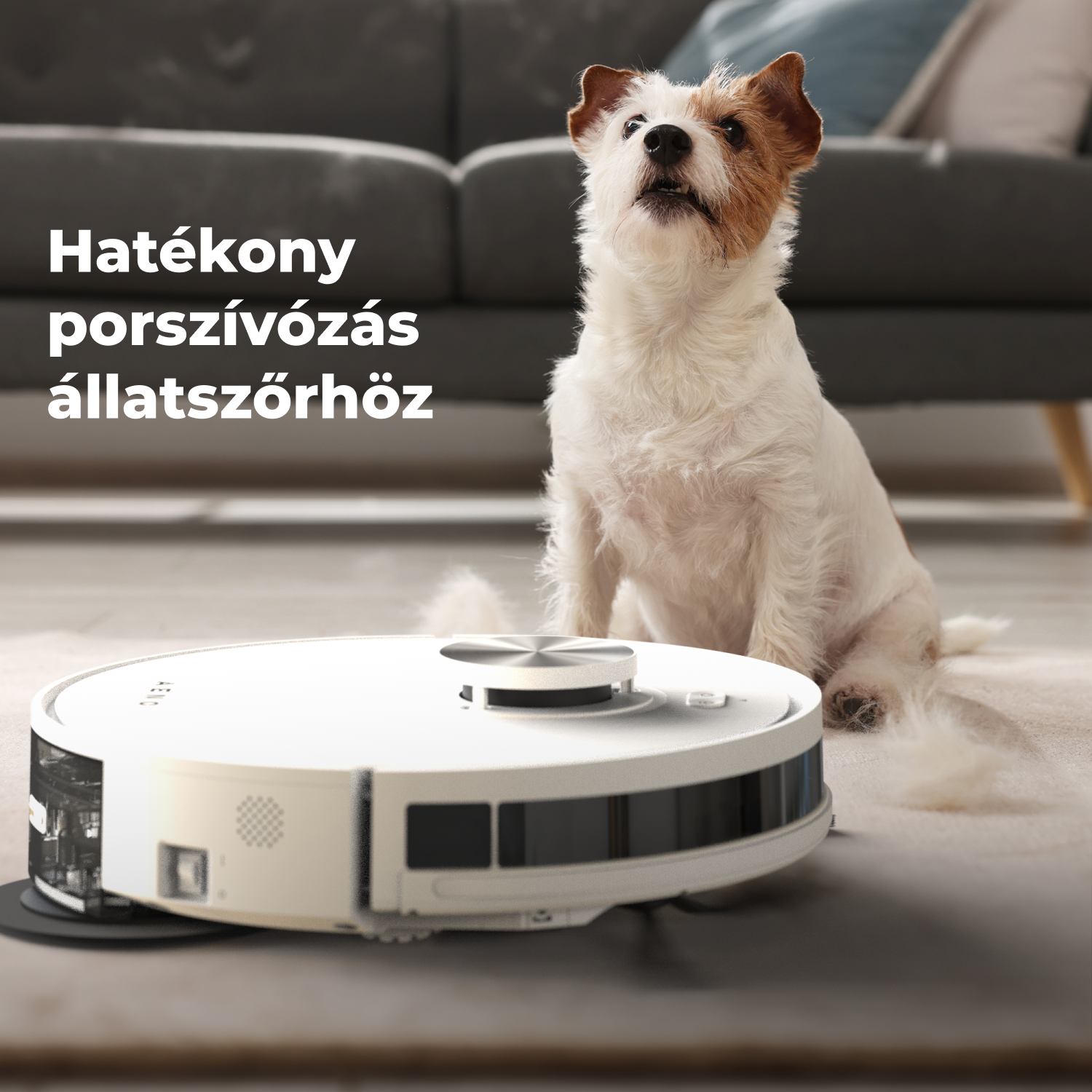 Egy fehér robotporszívó a padlón, egy felfelé néző kutyával. A szöveg azt mondja: Hatékony porszívózás az állatszőrhöz.