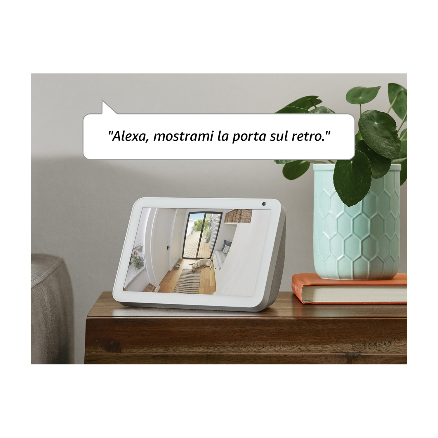 Un Echo Show mostra la vista della porta sul retro. Un cane è su un tappeto. Una pianta in vaso, un libro e una nuvola di comando Alexa sono visibili.