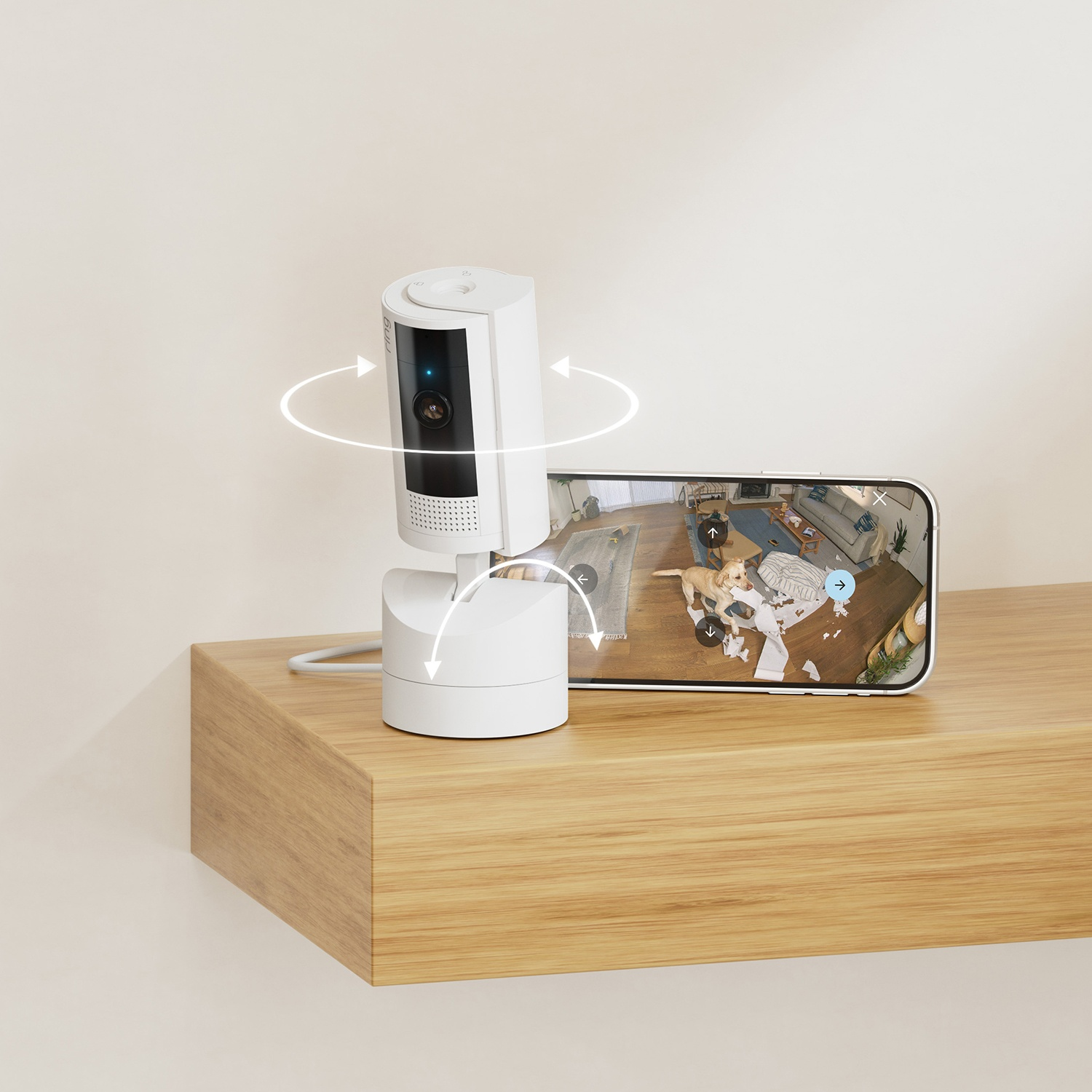 Una telecamera di sicurezza bianca è su una mensola di legno. Un telefono mostra la vista della telecamera su un cane in soggiorno.