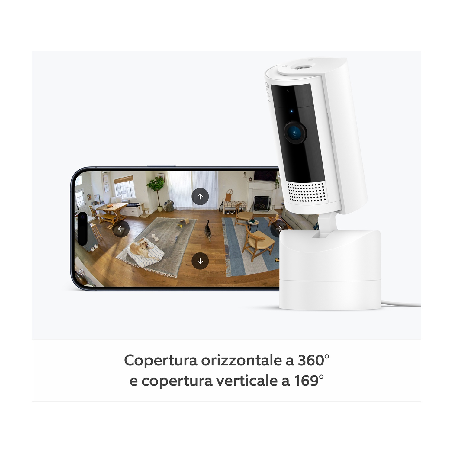Una telecamera di sicurezza mostra la vista di una stanza su un telefono. La telecamera è bianca e nera. Lo schermo mostra un cane su un tappeto.