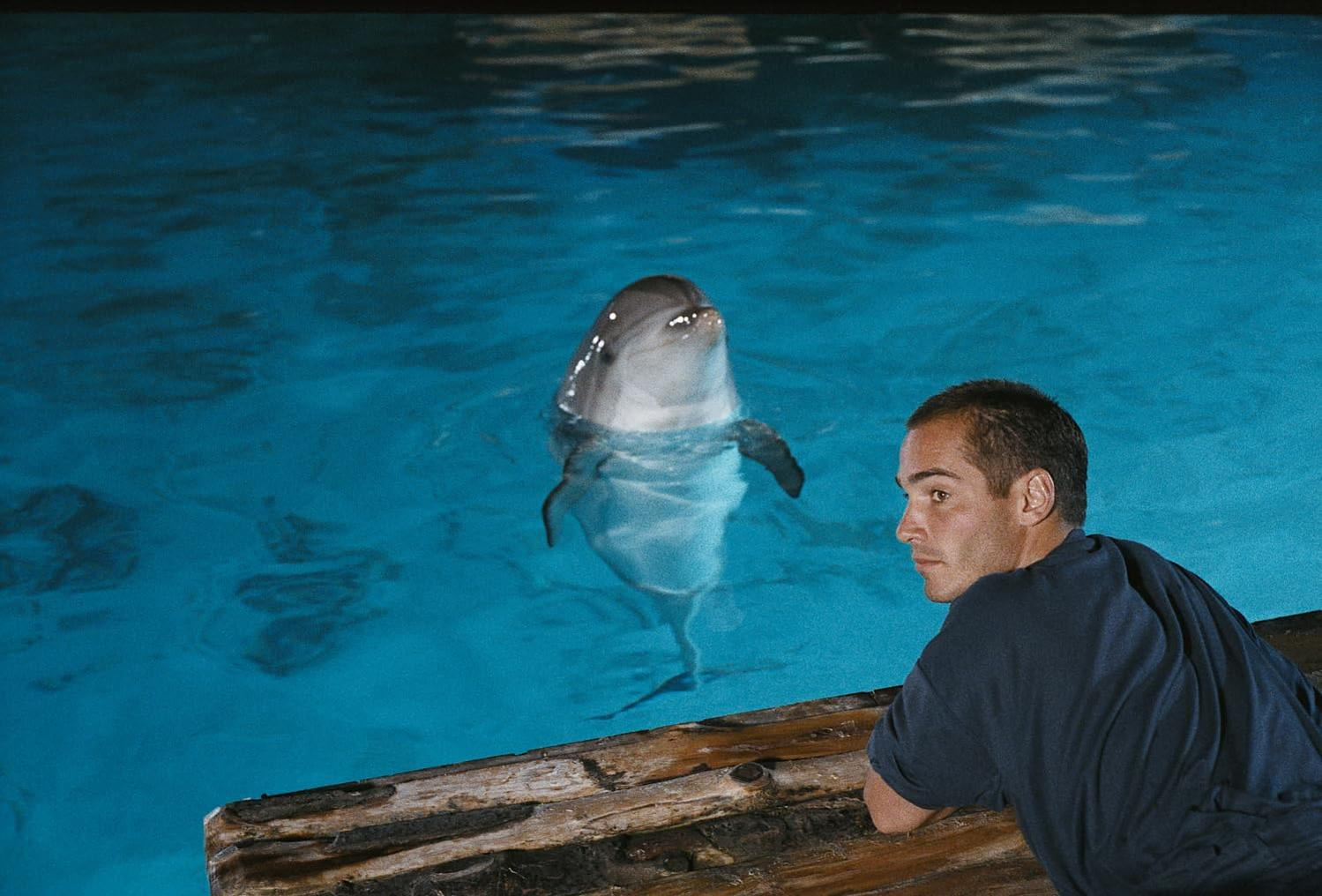 Ein Delfin taucht in einem Pool auf und blickt einen Mann an, der sich auf Holz lehnt. Das Wasser ist blau. Der Mann trägt ein blaues Hemd.