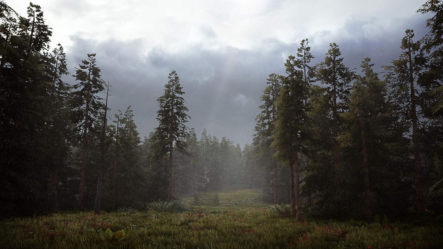 Una escena de bosque con árboles altos y un claro cubierto de hierba. El cielo está nublado y la escena es brumosa.