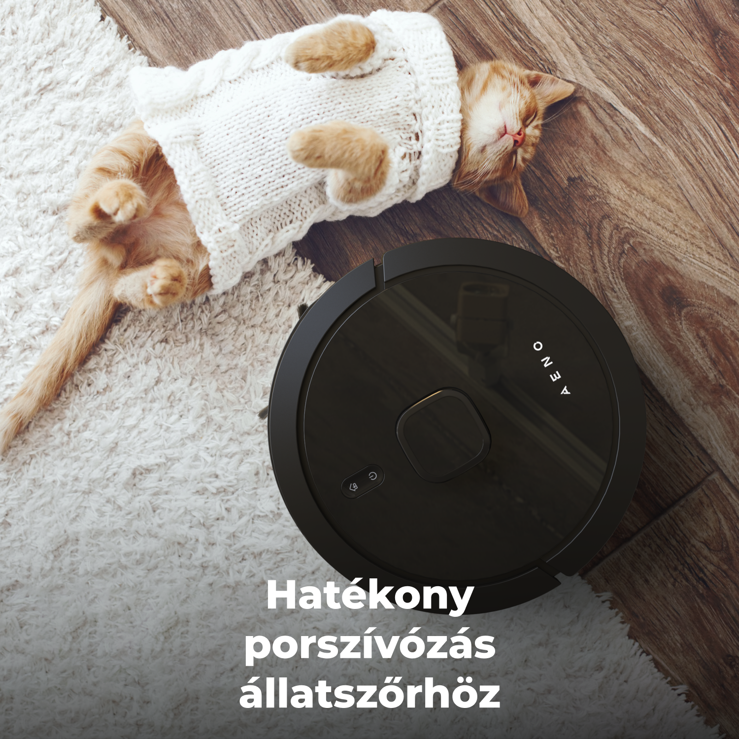 Egy macska pulóverben szőnyegen fekszik egy robotporszívó mellett. A háttér egy fa padlót mutat.