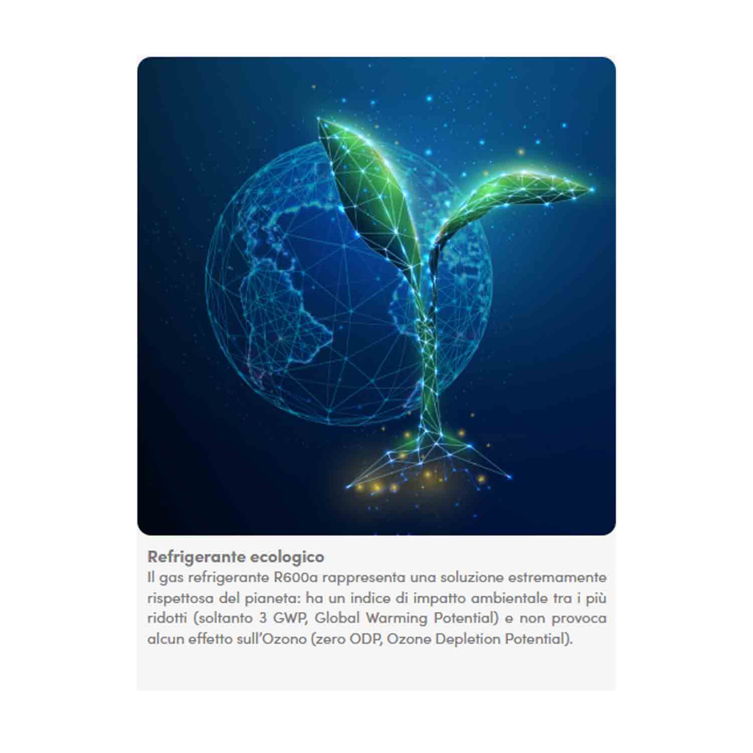 Un'illustrazione digitale mostra una pianta che cresce da un globo, simboleggiando l'ecologia. Sfondo blu con testo sotto.