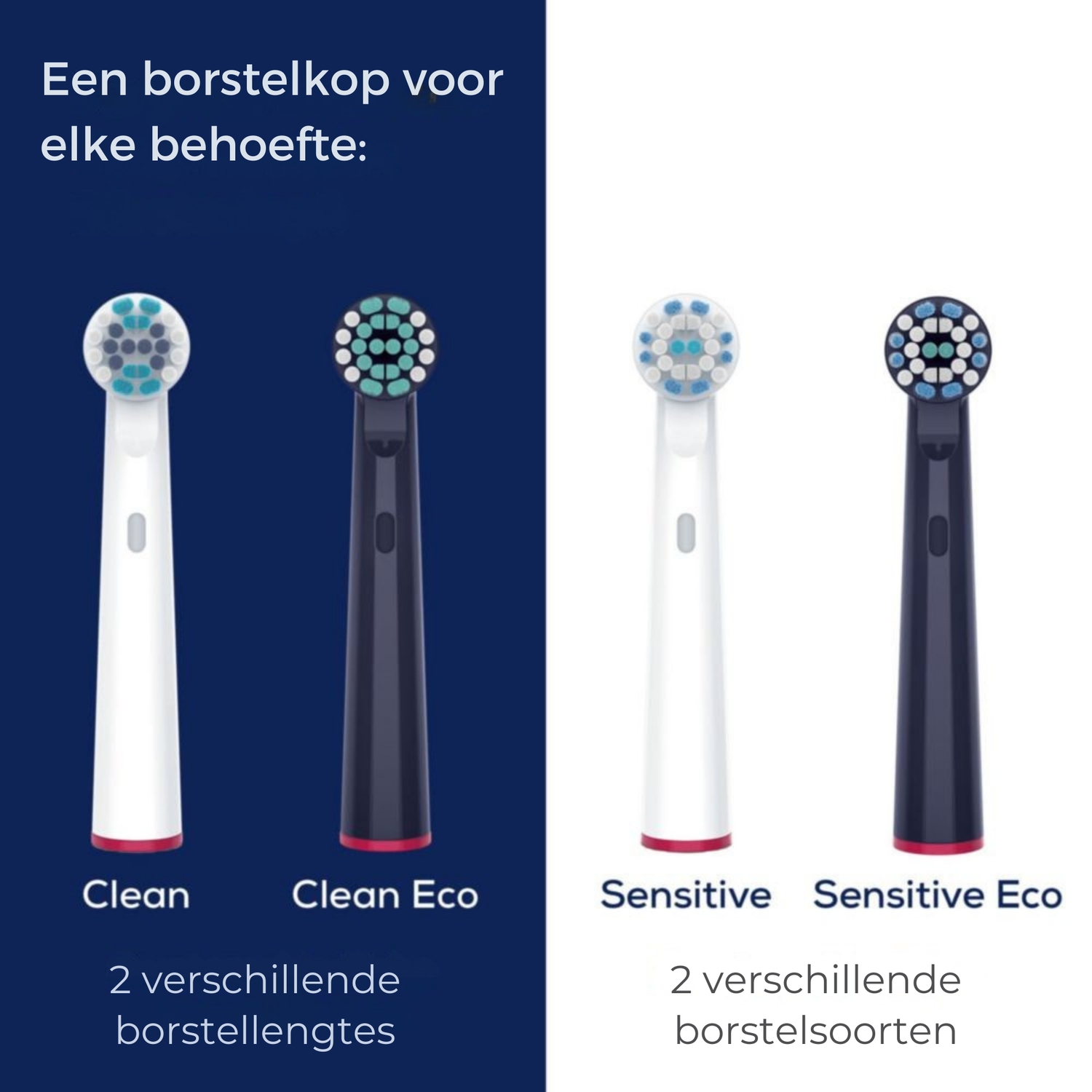 Image shows four toothbrush heads, labeled Clean, Clean Eco, Sensitive, and Sensitive Eco. Each has a unique bristle design.