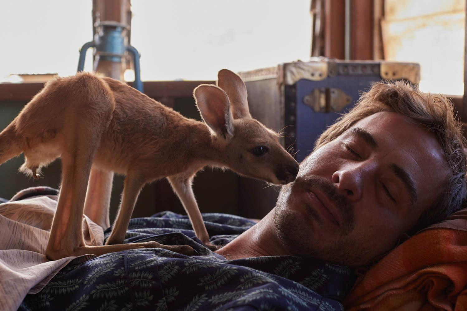 Ein Mann schläft, ein Baby-Känguru beschnuppert sein Gesicht. Das Känguru ist braun, der Mann liegt auf einem Bett mit einer gemusterten Decke.