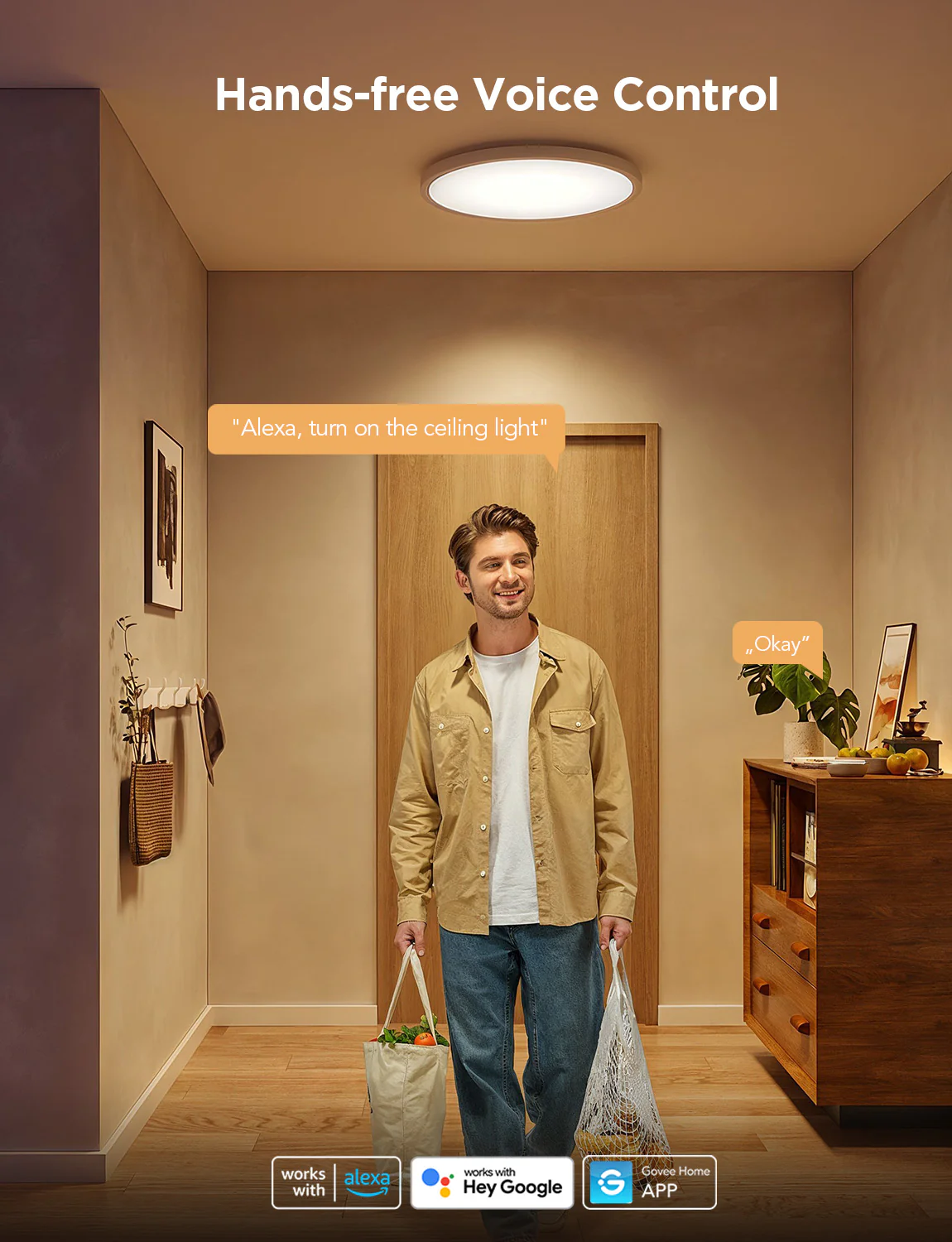Un uomo in un corridoio tiene delle borse. Le nuvolette di testo dicono 'Alexa, accendi la luce del soffitto' e 'Ok'. Una luce a soffitto è sopra.
