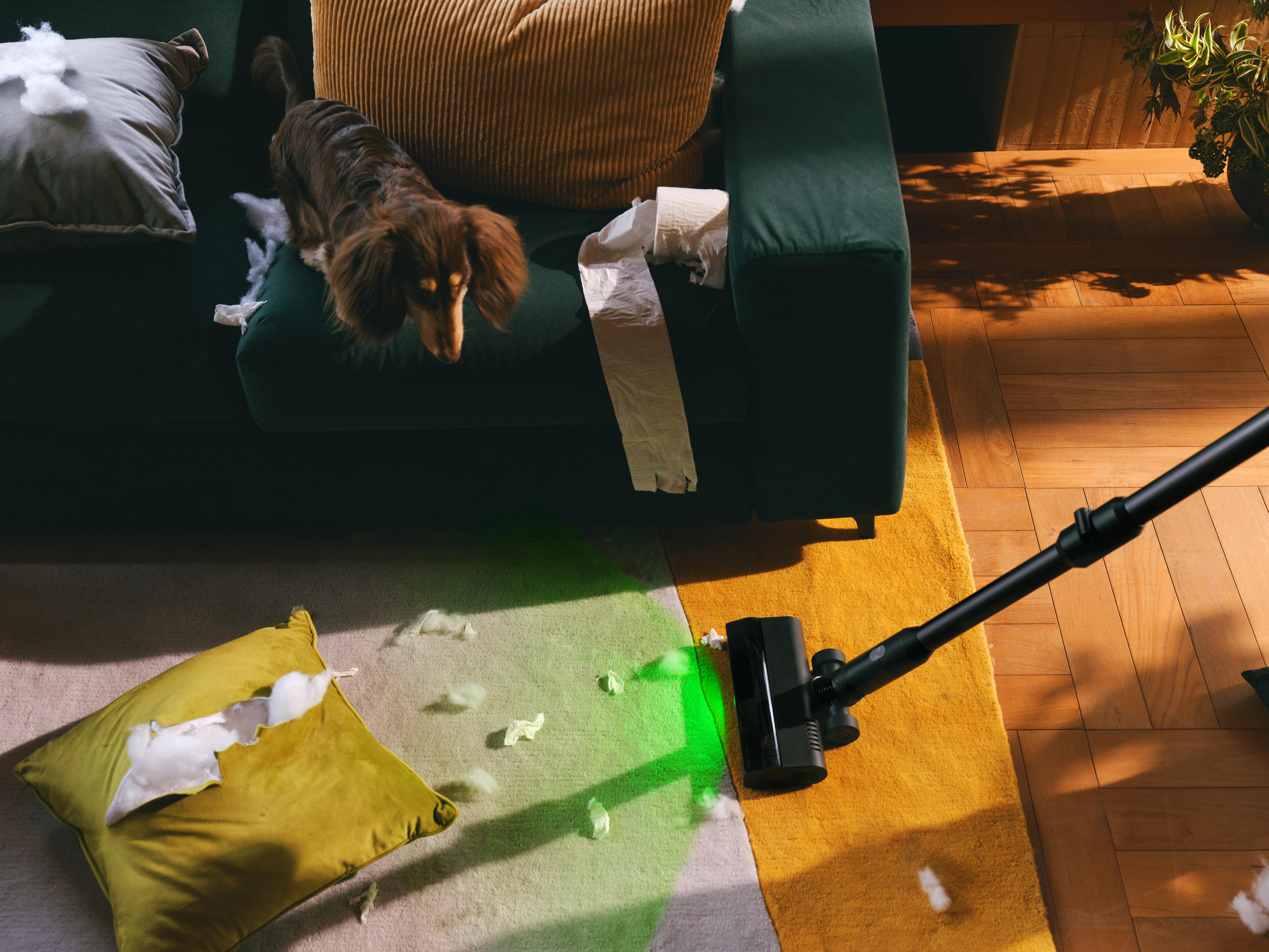 Ein Hund auf einer grünen Couch, umgeben von zerrissenem Papier und Kissenfüllung, Staubsauger vorhanden.