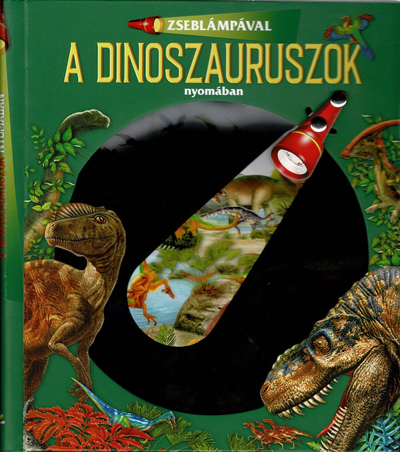 Napraforgó Könyvkiadó - A dinoszauruszok nyomában