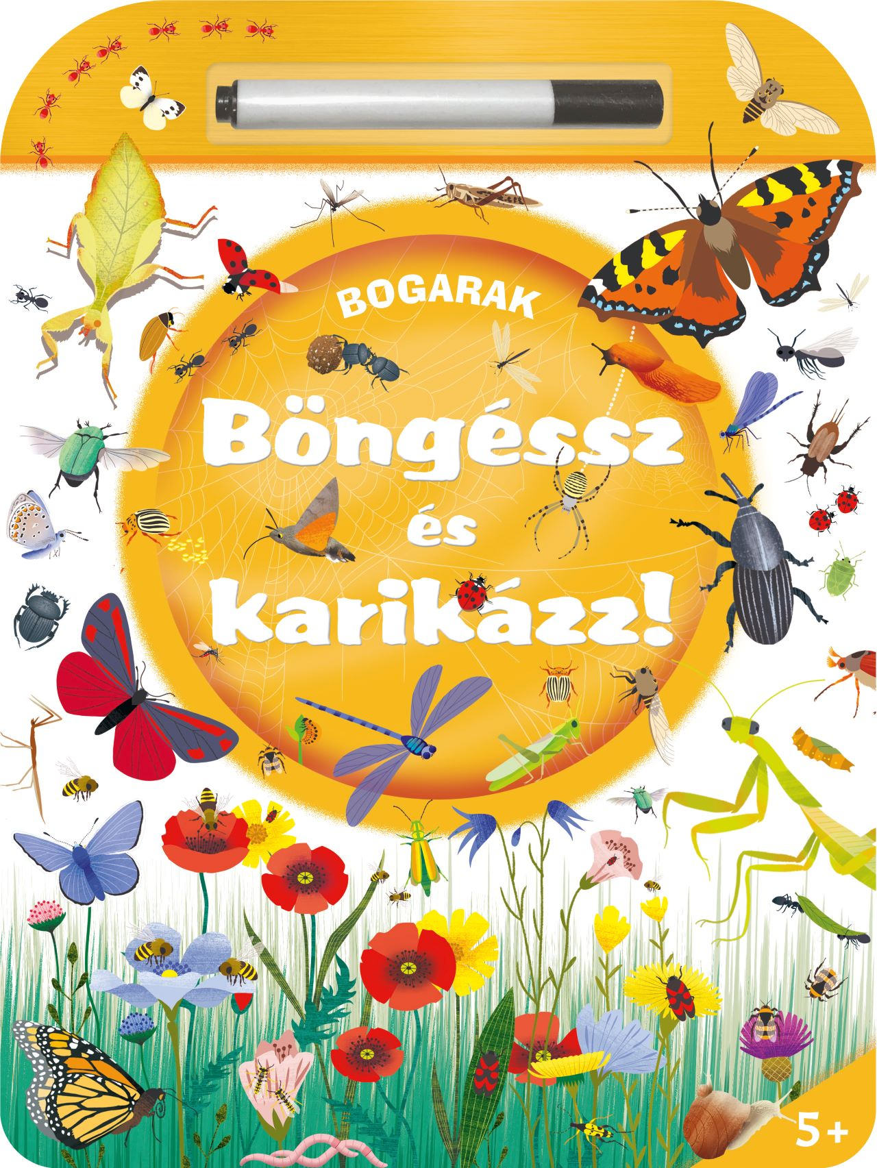 Napraforgó Könyvkiadó - Böngéssz és karikázz! Bogarak