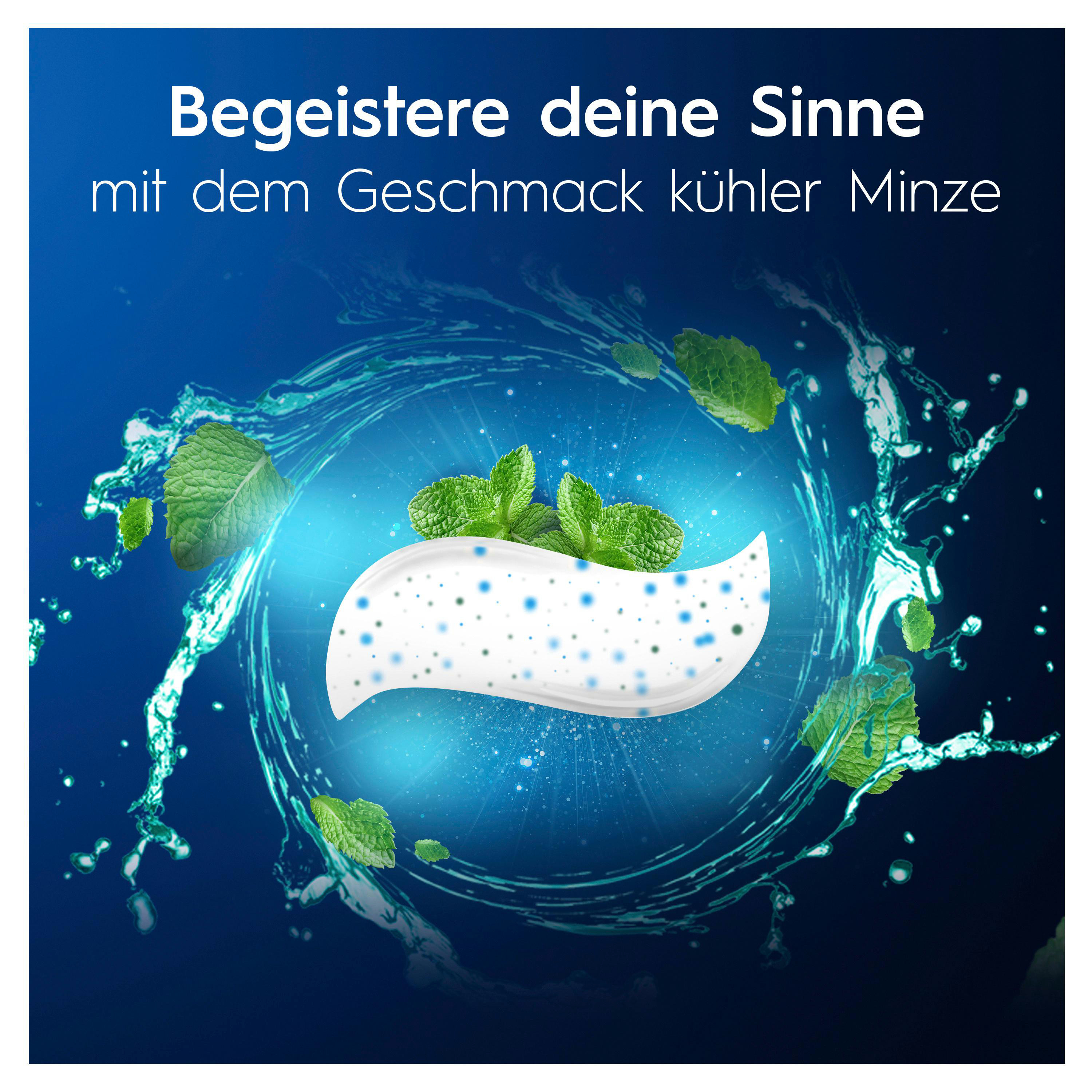 Das Bild zeigt Minzblätter, Zahnpasta und Wasserspritzer vor blauem Hintergrund. Text: 'Begeistern Sie Ihre Sinne mit kühlem Minzgeschmack'.