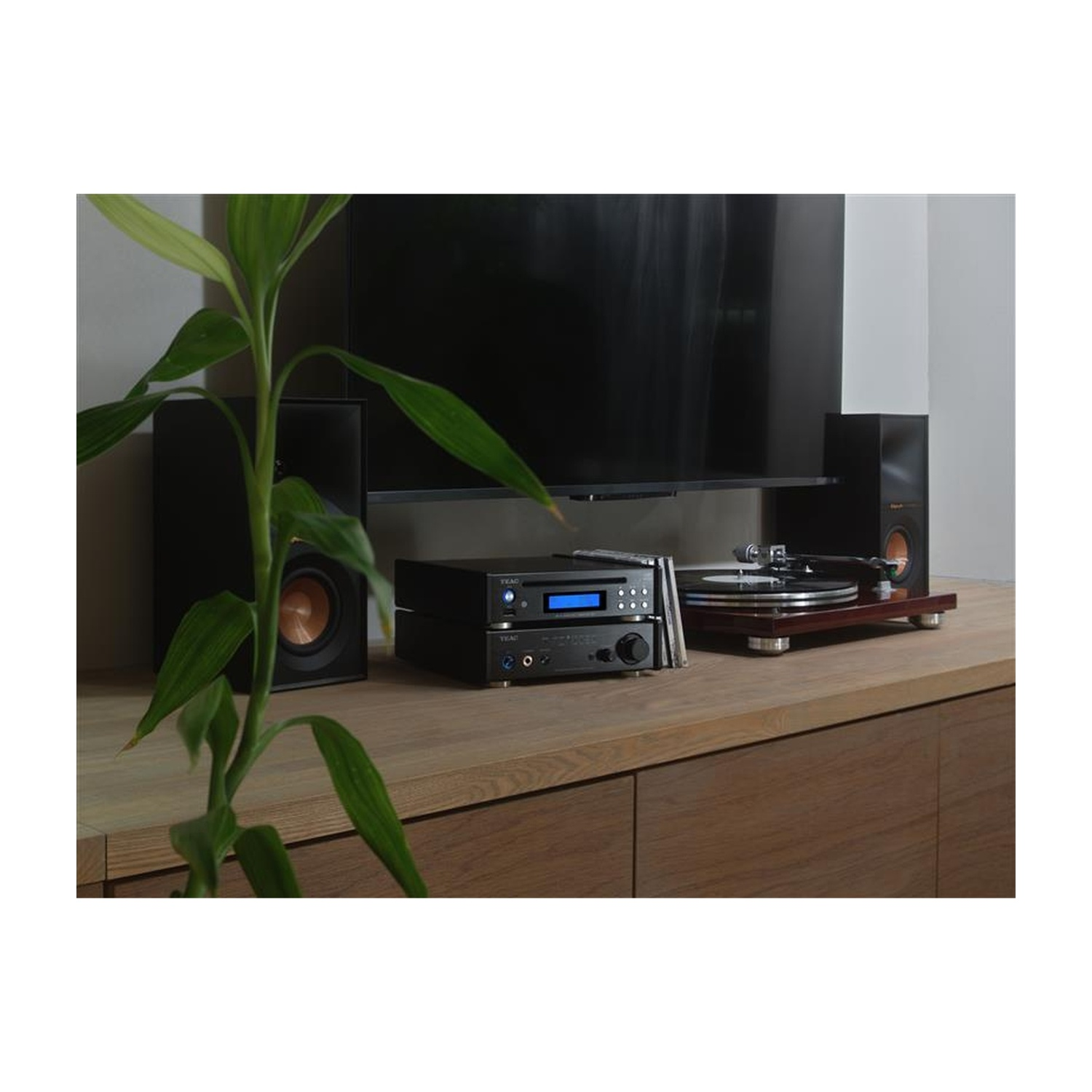 Un mobile in legno espone un impianto stereo con giradischi, amplificatore e altoparlanti e una pianta con foglie verdi.