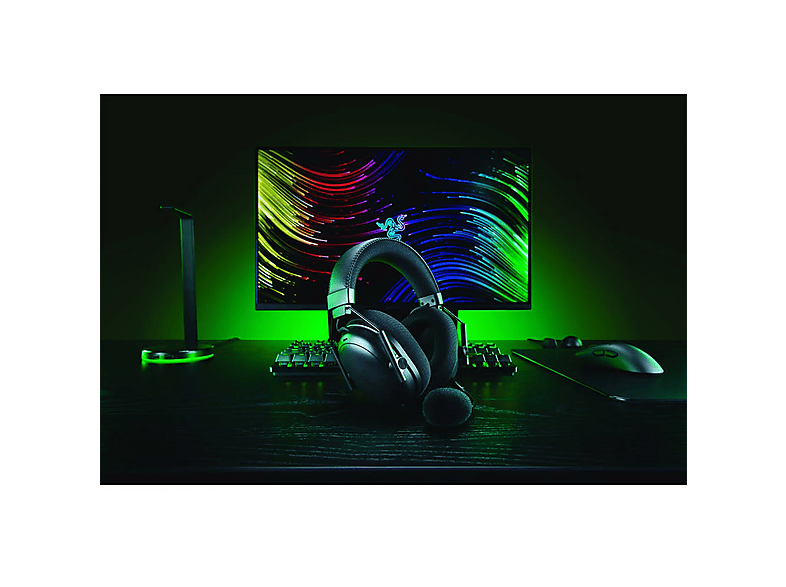 Vista 3
