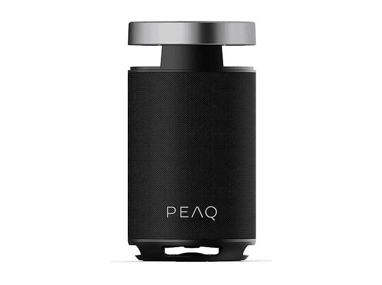Party Speaker Peaq Pps 170