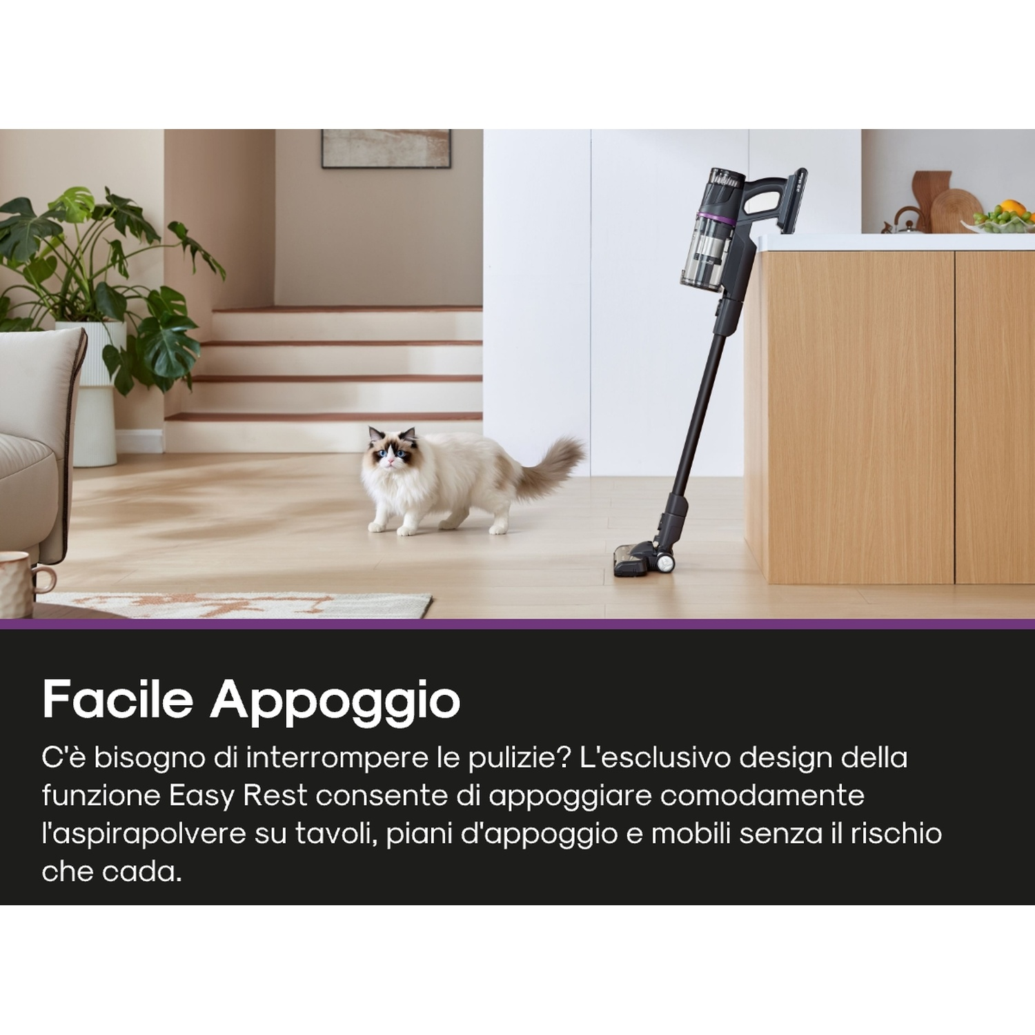 Un gatto cammina vicino a un aspirapolvere appoggiato su un bancone. Il testo dice Easy Rest.
