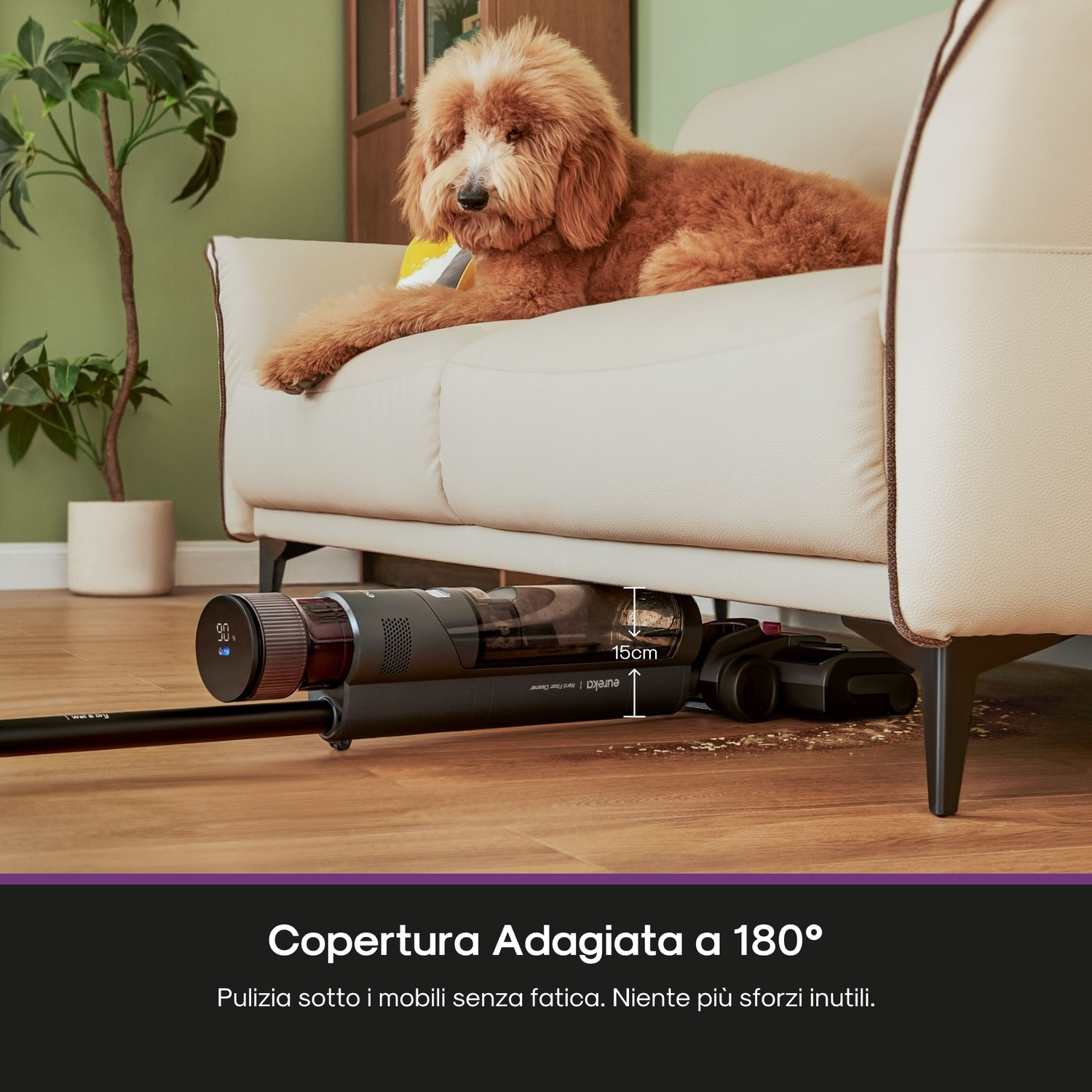 Un cane si riposa su un divano color crema. Un aspirapolvere è sotto il divano. Una pianta è sullo sfondo. Il pavimento è di legno.