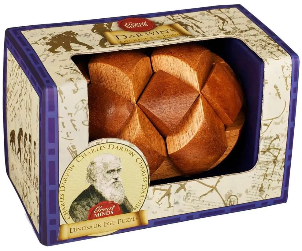 Egy fából készült puzzle egy dobozban. A dobozon Charles Darwin szövege és képei láthatók. A puzzle gömb alakú, fából készült darabokból.