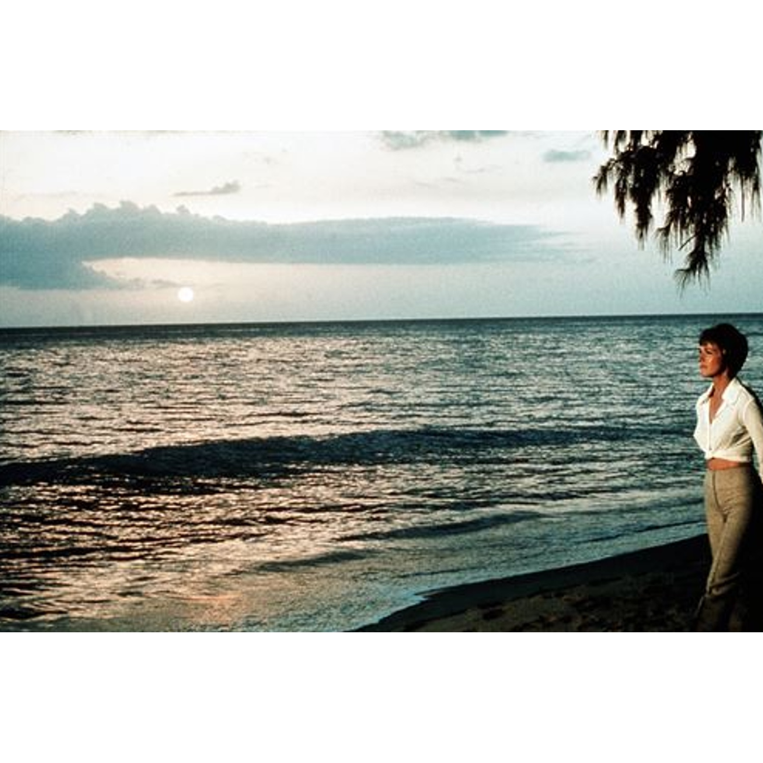 Une femme se tient sur une plage, regardant l'océan au coucher du soleil. Le ciel est nuageux. L'eau reflète la lumière du soleil. Des branches d'arbres pendent à droite.
