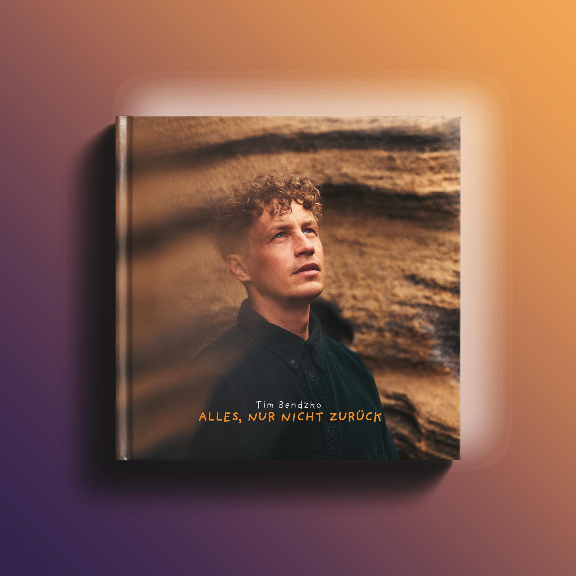 Ein Mann mit lockigem Haar schaut nach oben vor einer Felswand. Albumtitel: Alles, nur nicht zurück.