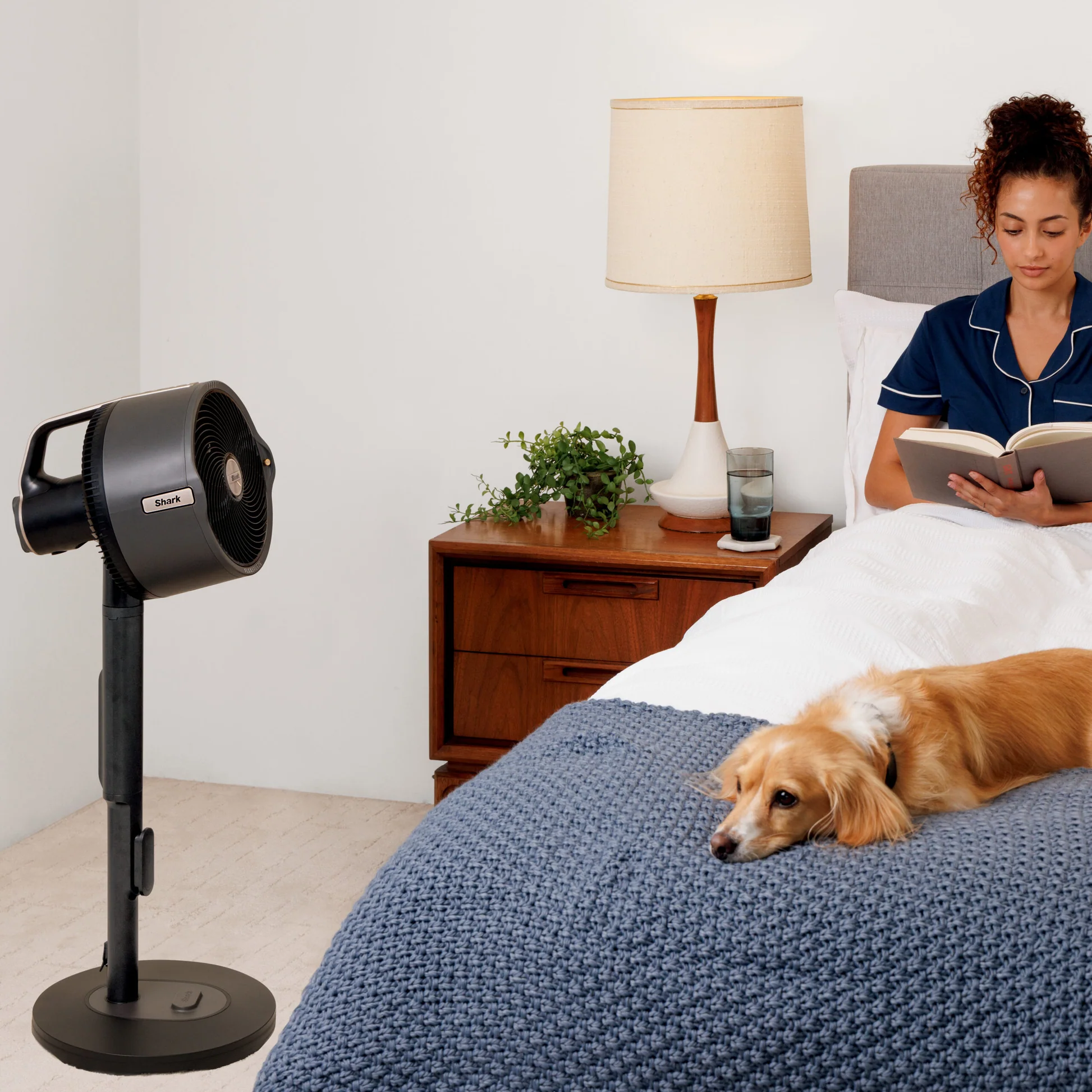 Egy nő olvas az ágyban egy kutyával. Egy ventilátor áll a közelben. Van egy lámpa és egy éjjeliszekrény.