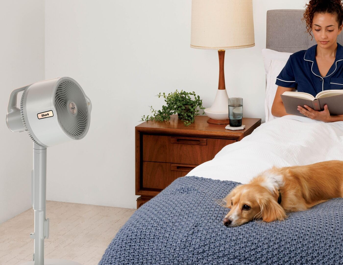 Egy nő olvas az ágyban egy kutyával, egy ventilátorral az előtérben. Egy lámpa az éjjeliszekrényen egy pohár vízzel.