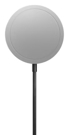 Szary, okrągły obiekt na czarnym słupie na białym tle. Obiekt jest lekko podniesiony z okrągłym grzbietem.